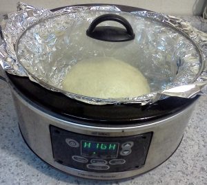 Bread dough in crock pot